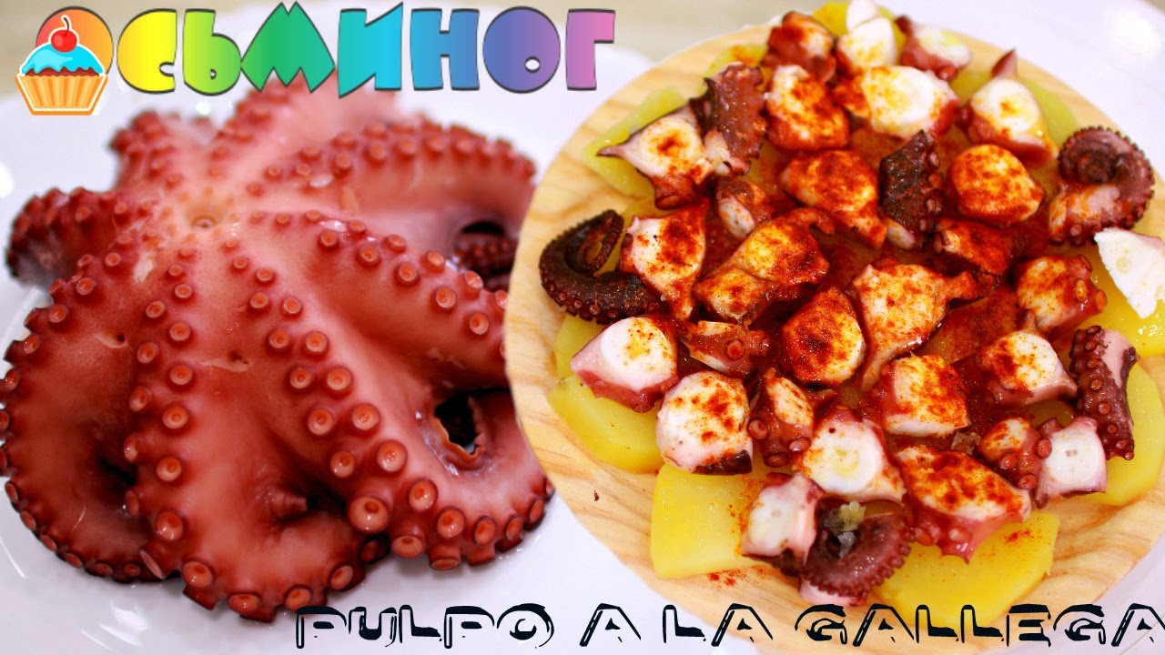 ОСЬМИНОГ / Как приготовить / Pulpo a la gallego / How do you cook an OCTOPUS.
