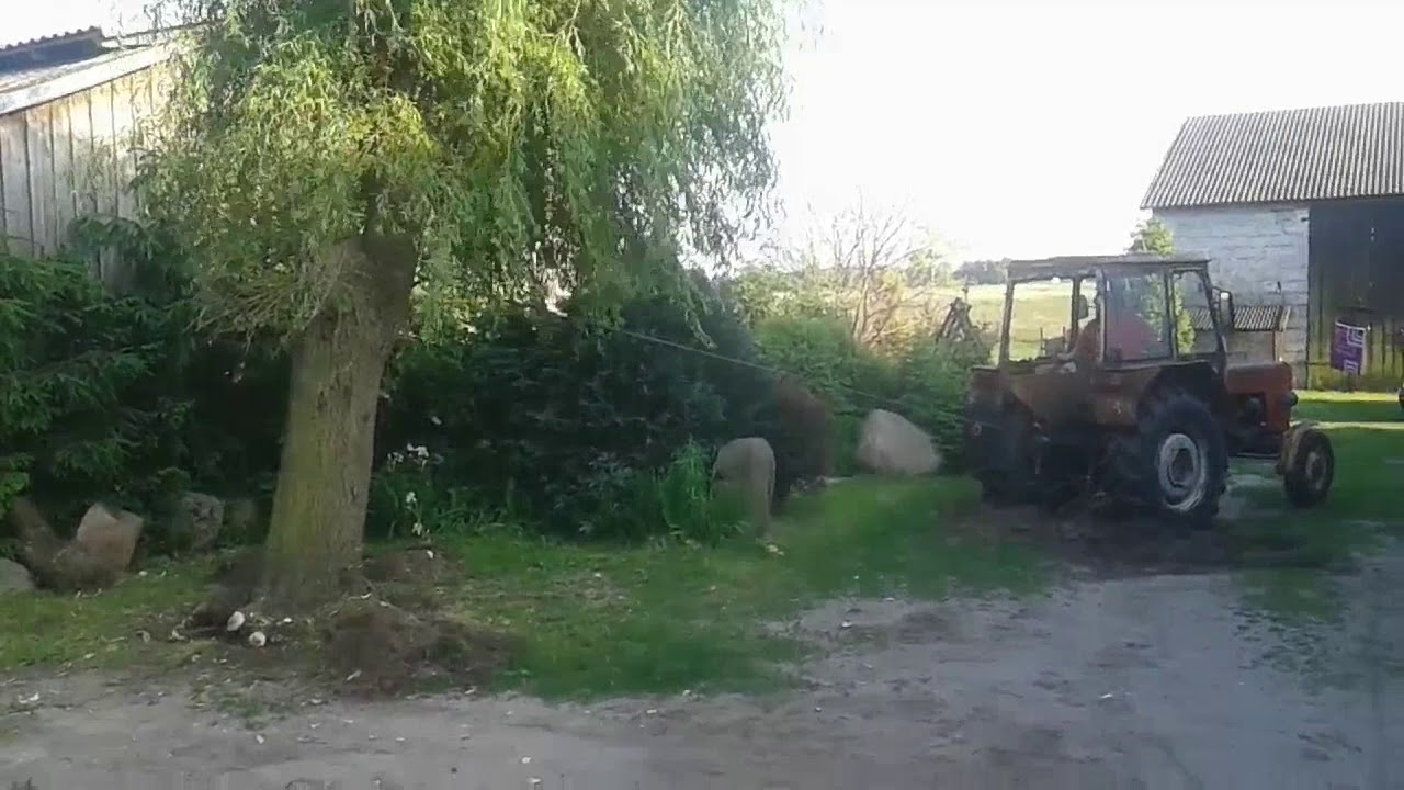 Wyrywanie korzeni Ursusem c-360