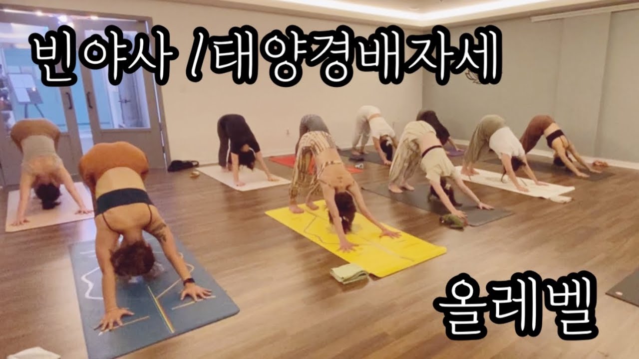 [엔젤요가] 호홉과동작의 조화 | 빈야사요가 | 올레벨