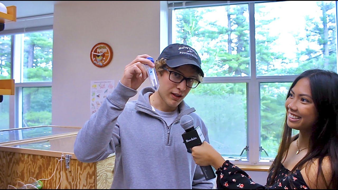 What are Bowdoin students doing on campus over the summer?