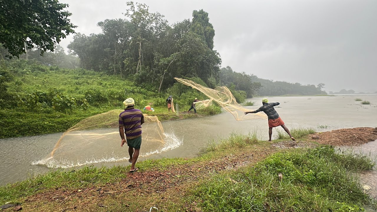 ഒരു വലക്ക് സിലോപിയ പിടിച്ചു തൂകിനോക്കിയപ്പോൾ|monsoon kerala village most satisfying cast net fishing