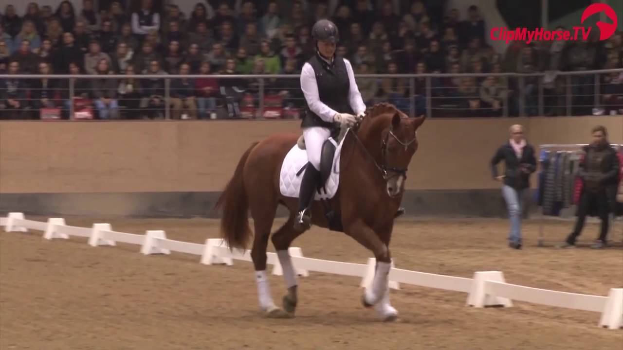 Isabell Werth, München, Oktober 2015 - Teil 1