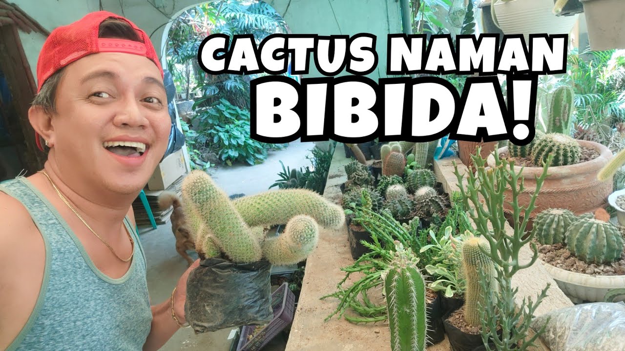 LOTS OF CACTUS | NEWLY ARRIVE PLANTS IN THE GARDEN