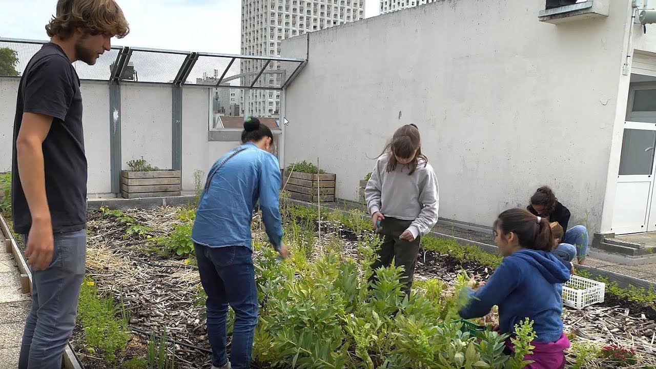 Au collège Flora Tristan, on « cultive » les savoirs