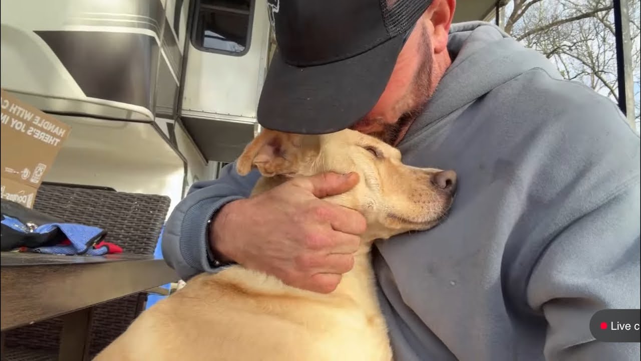 Friday Longhorn and Horses! (Coffee Club)