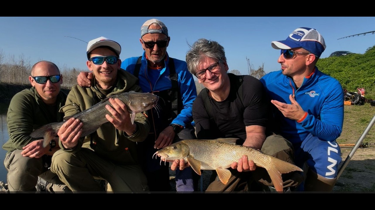 Feeder : Balla coi barbi...