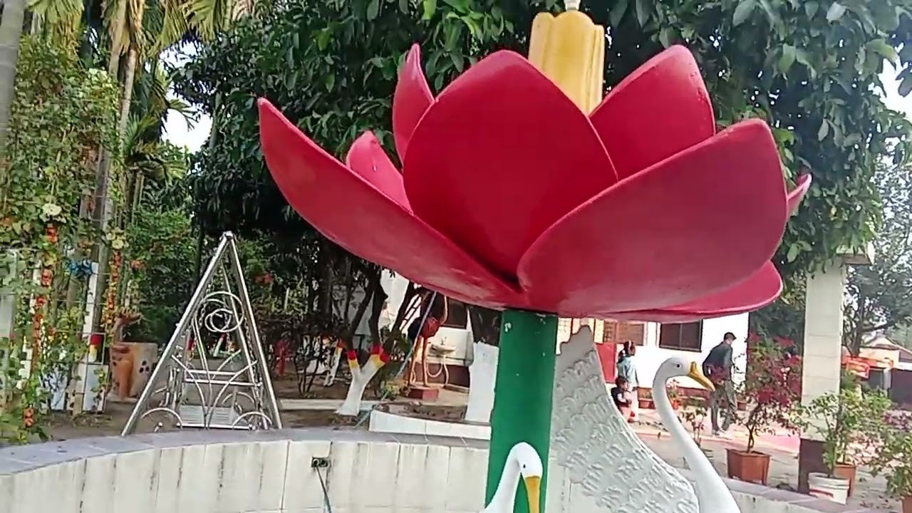 বিকালের মনমুগ্ধকর পরিবেশে পার্কে ঘুরতে গিয়েছিলাম। আপনারা দেখুন লাইক ও সাবস্ক্রাইব করুন। #food # 