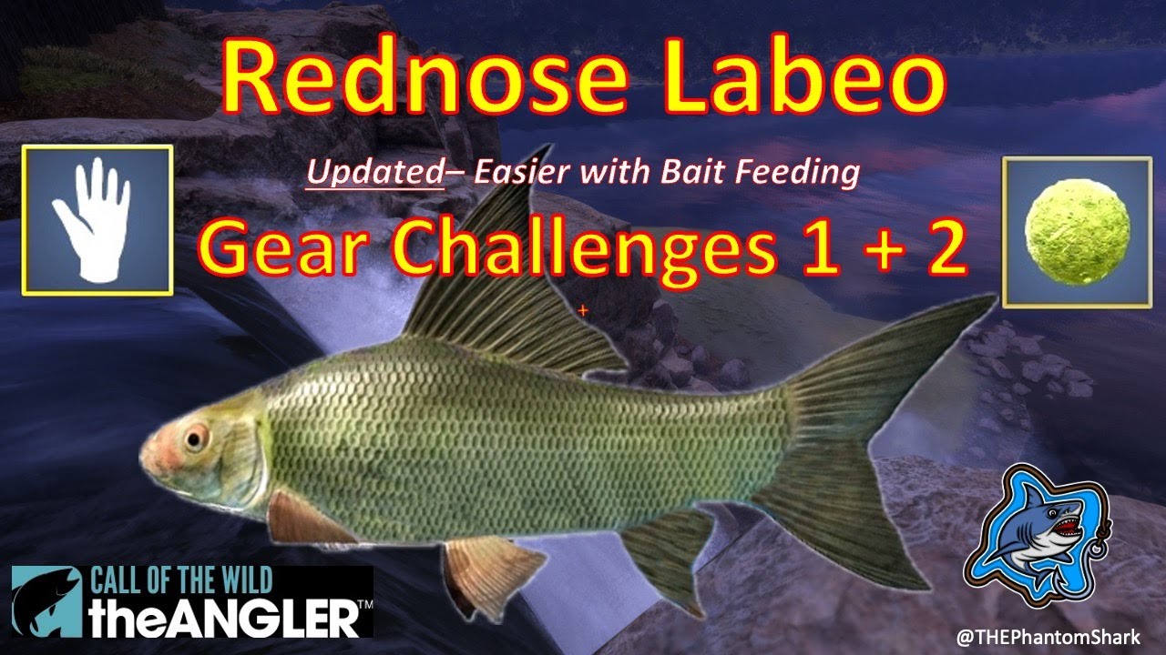 UPDATED Rednose Labeo Gear Challenges 1 + 2 for after November 13 2024  Call of the Wild: The Angler