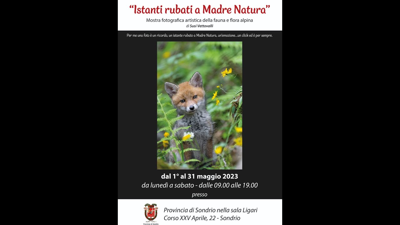 MOSTRA FOTOGRAFICA DELLA FAUNA E FLORA ALPINA DI SUSI VETTOVALLI, TENUTA A SONDRIO A PALAZZO MUZIO.
