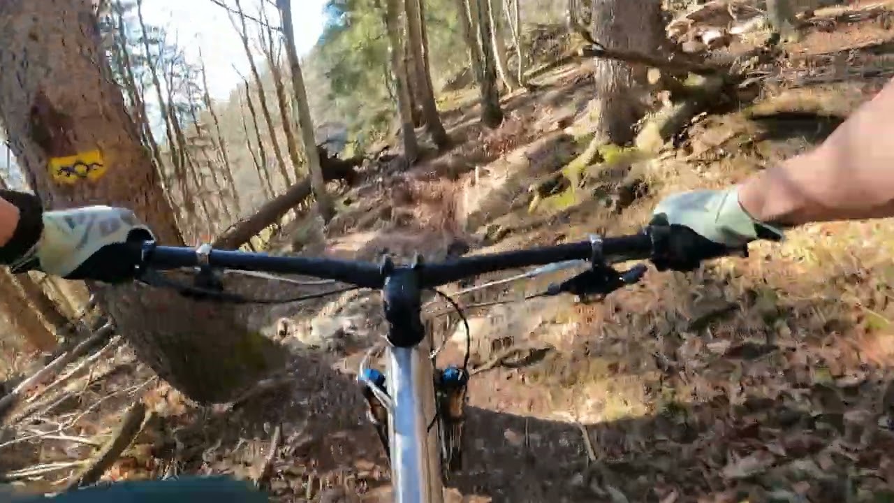 Trail Bad Reichenhall