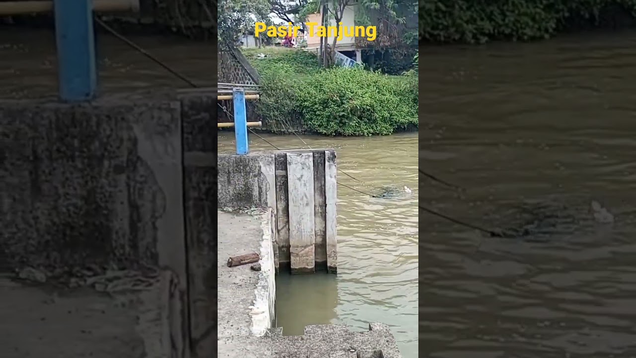 Spot Mancing Cikarang #spotmancingbekasi #mancingliar #kalimalang
