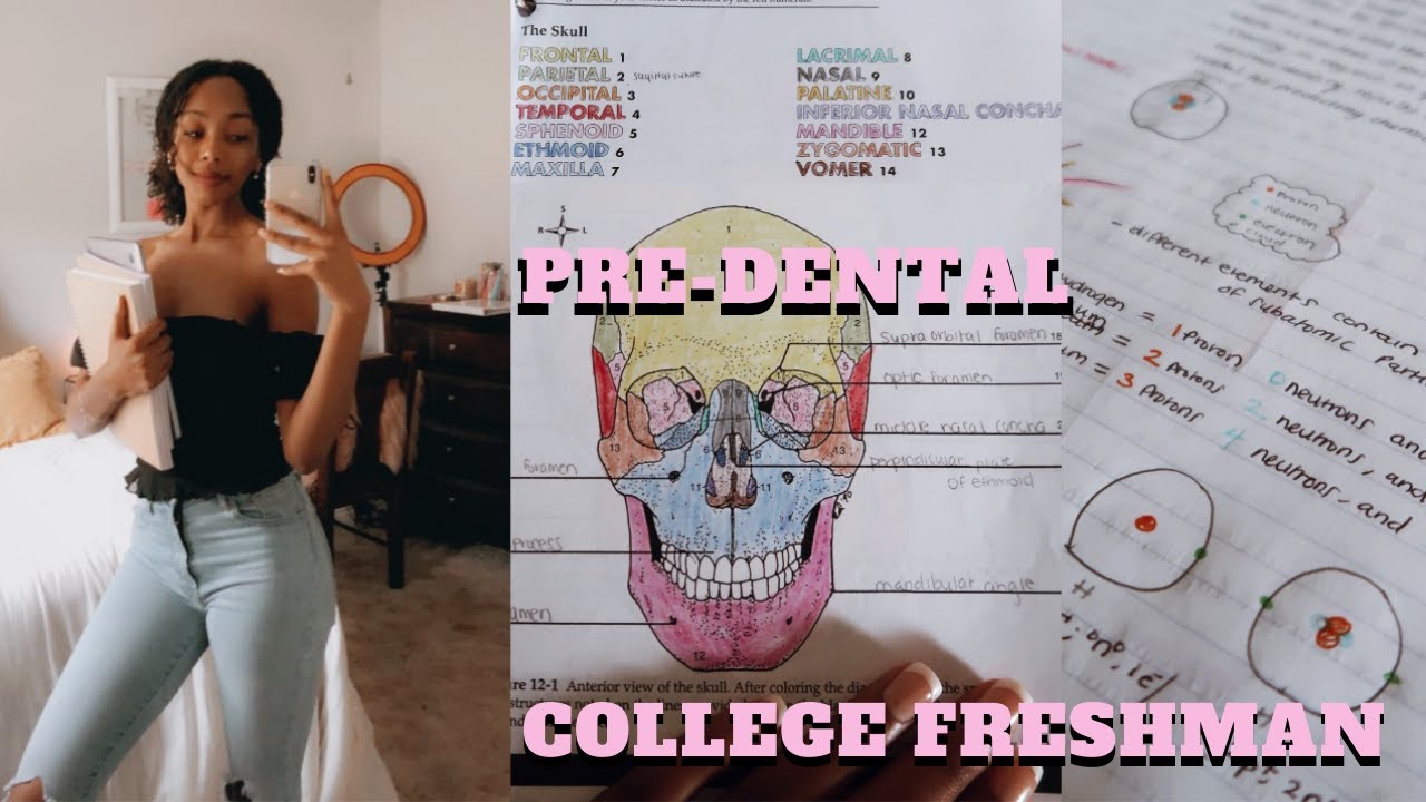 Day In The Life of a Community College Student | Pre-Dental