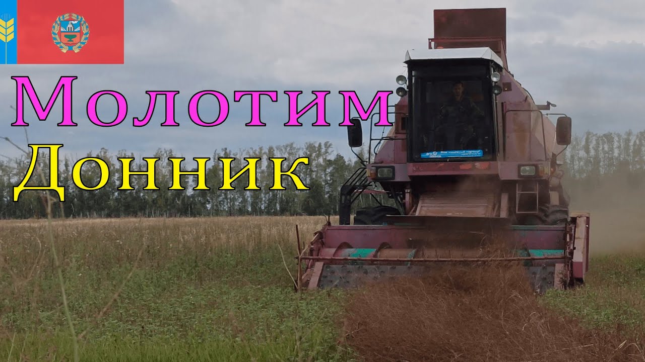 Сезон 2022. Убираем донник 25-26 августа.