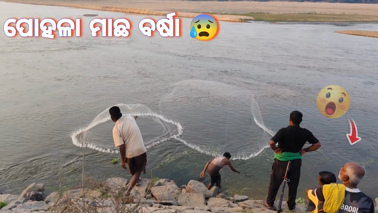 ନଦୀ ରେ ପାଣି କମ ମାଛ ଅଧିକା 😰 ଜାଲ ପଡୁ ପଡୁ ନଦୀ ଜାକ ମାଛ ଡେଉଁ ଛନ୍ତି 😱#fishingvideo 