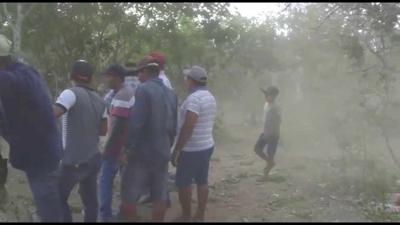 Toada cavalo pombo roxo do vaqueiro Bruno cantada por Alon zoa