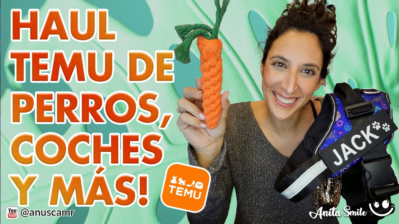 Super Haul de TEMU articulos para Perros, Coches y más! - Anita Smile 😊