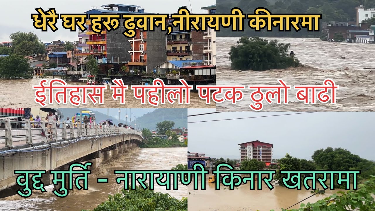 Narayani baadi/नारायाणी नदी वाढी/२०८१-०६-१२/Narayani river/news update #keepsupporting #goviralgo