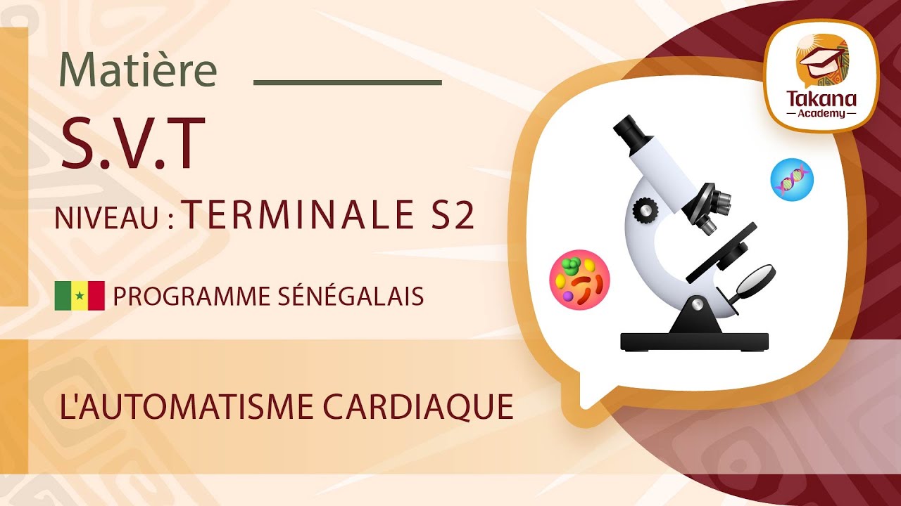 SVT || L'automatisme cardiaque || Terminale S2