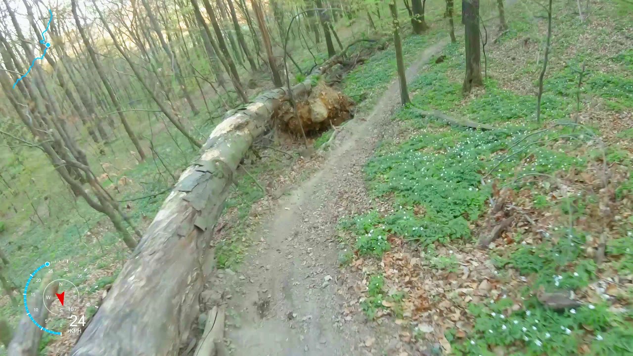 Wolski Flow # 24 // Las Wolski // Kraków 4K