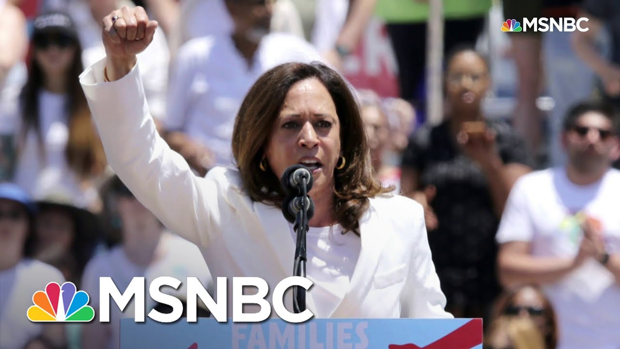 Harris Makes History As First Female, Black, South Asian American VP | MSNBC