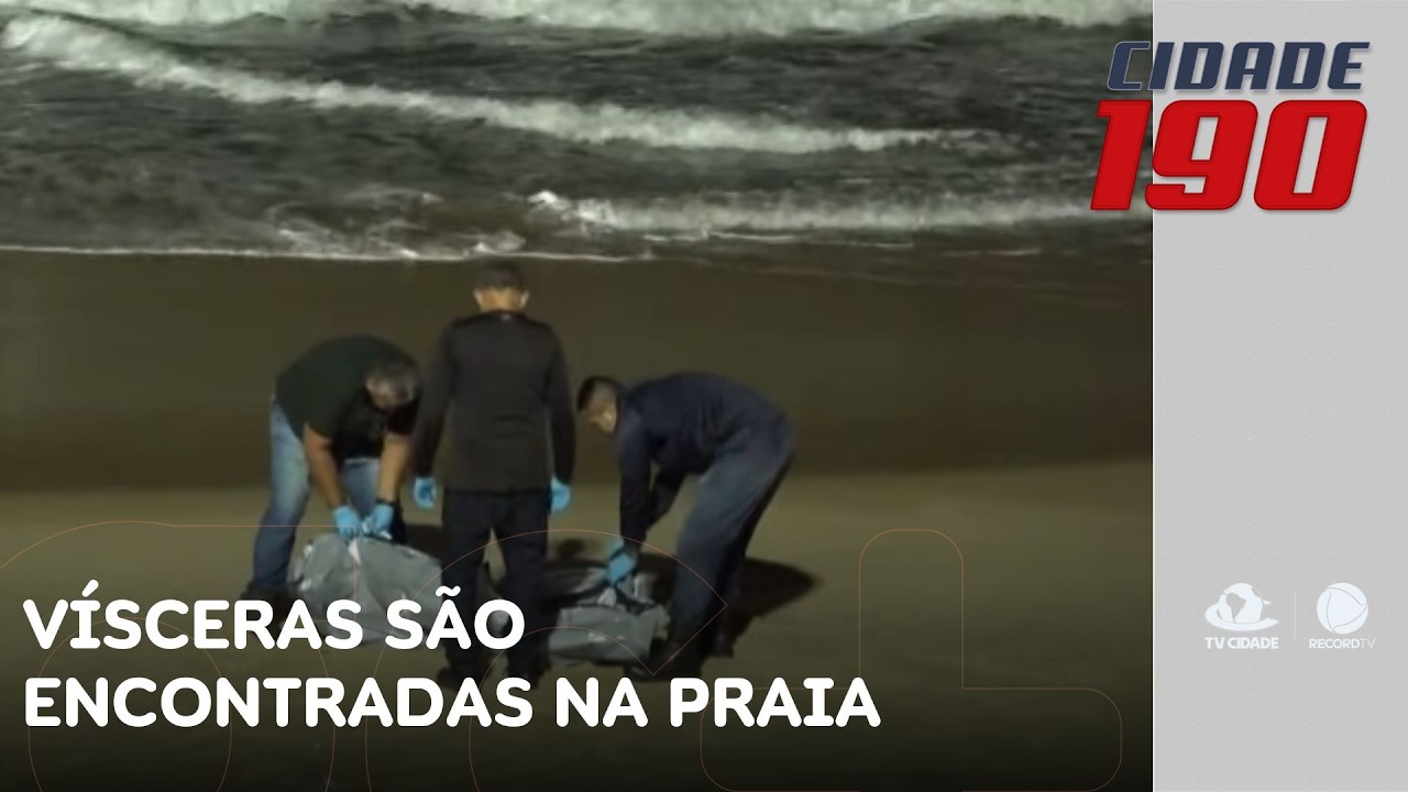 Vísceras de possível corpo humano são encontradas na praia; polícia é acionada | Cidade 190