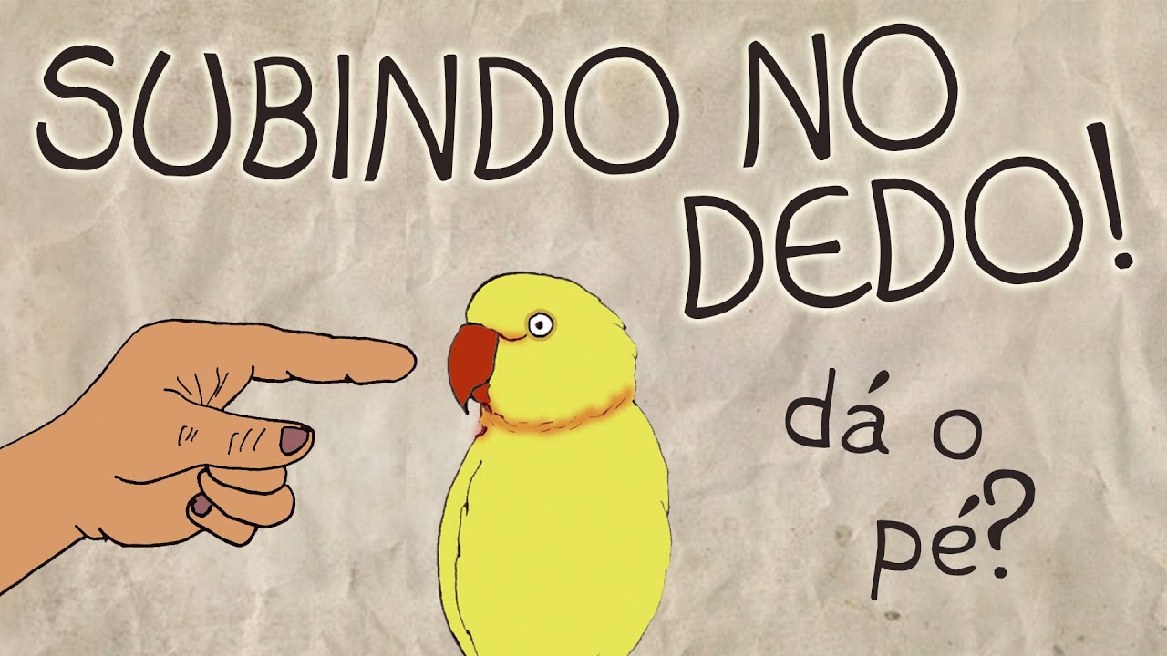 E Vamos ao Treino! (Subindo no Dedo)