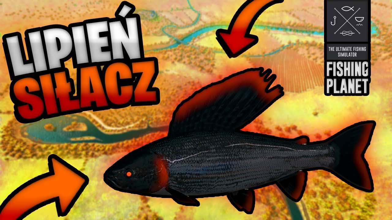Jak złowić LIPIENIA SIŁACZA?!!!  |  FISHING PLANET RYBY POTWORY