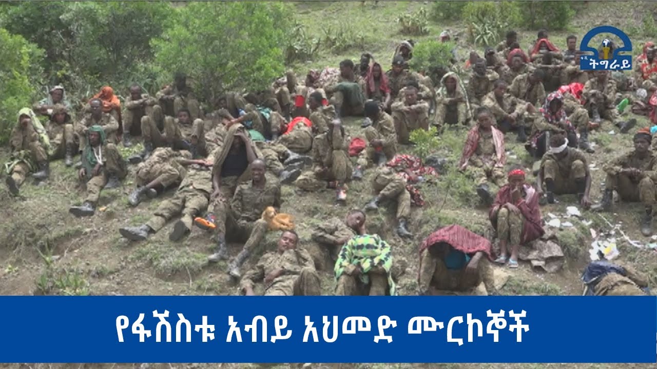 #ቴሌቪዥን_ትግራይ