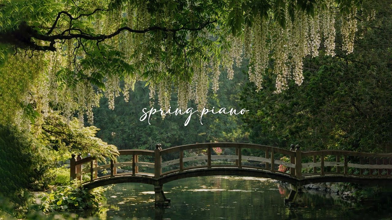 𝒂 𝒑𝒍𝒂𝒚𝒍𝒊𝒔𝒕 𝒇𝒐𝒓 𝒂 𝒒𝒖𝒊𝒆𝒕 𝒍𝒊𝒇𝒆 𝒑𝒕.𝟐 🌿