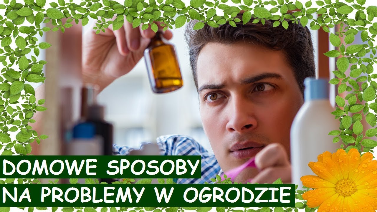 Domowe sposoby na choroby i szkodniki roślin. Są łatwe i skuteczne!