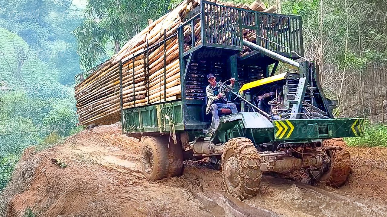 Riding Extreme Vietnamese Truck Filled With Tons of Acacia Woods