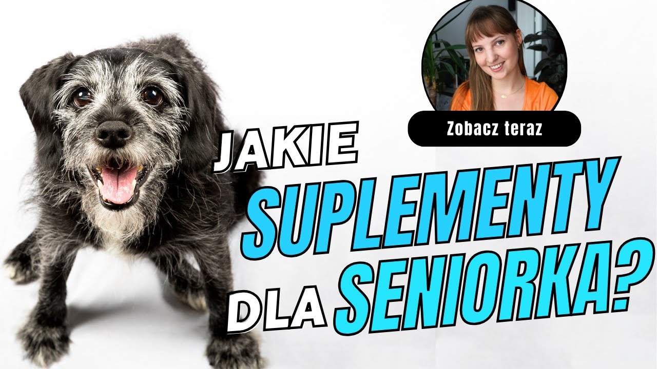 Jakie suplementy wybrać dla psiego seniorka 🌿 Jak dbać o starzejącego się psa?