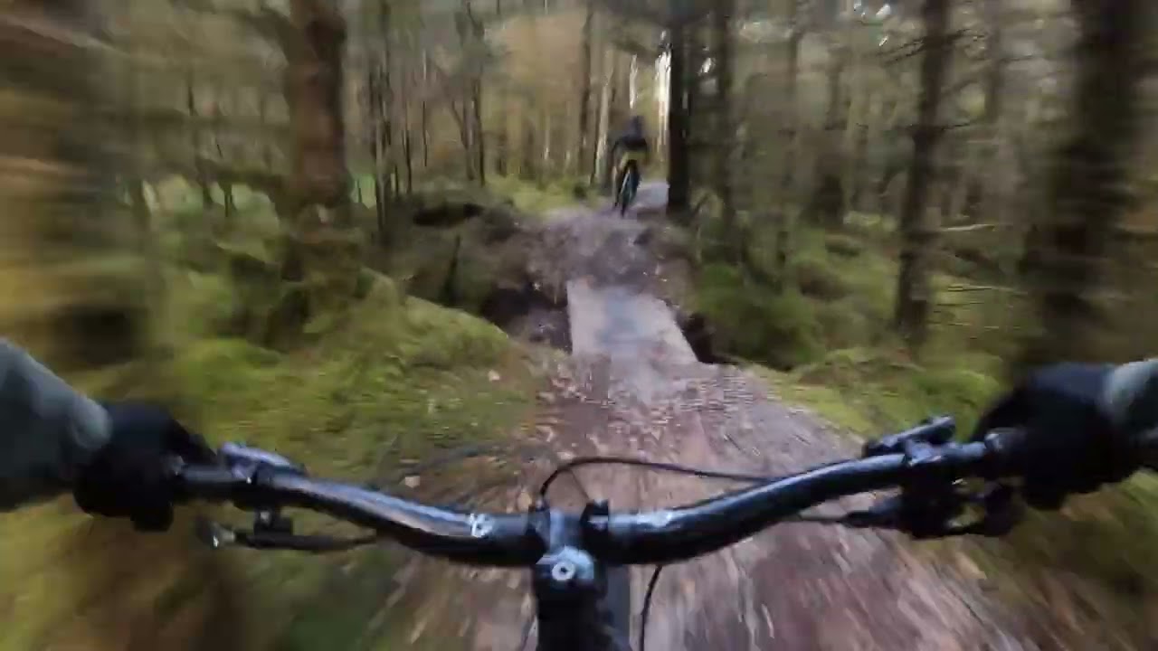 POV of Wild Goat at Nevis Range