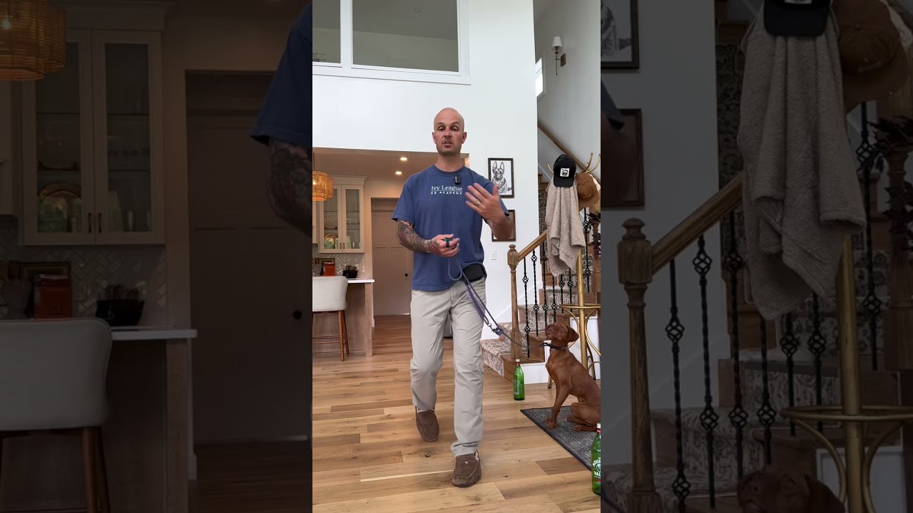 Introduce the Leash to your Puppy