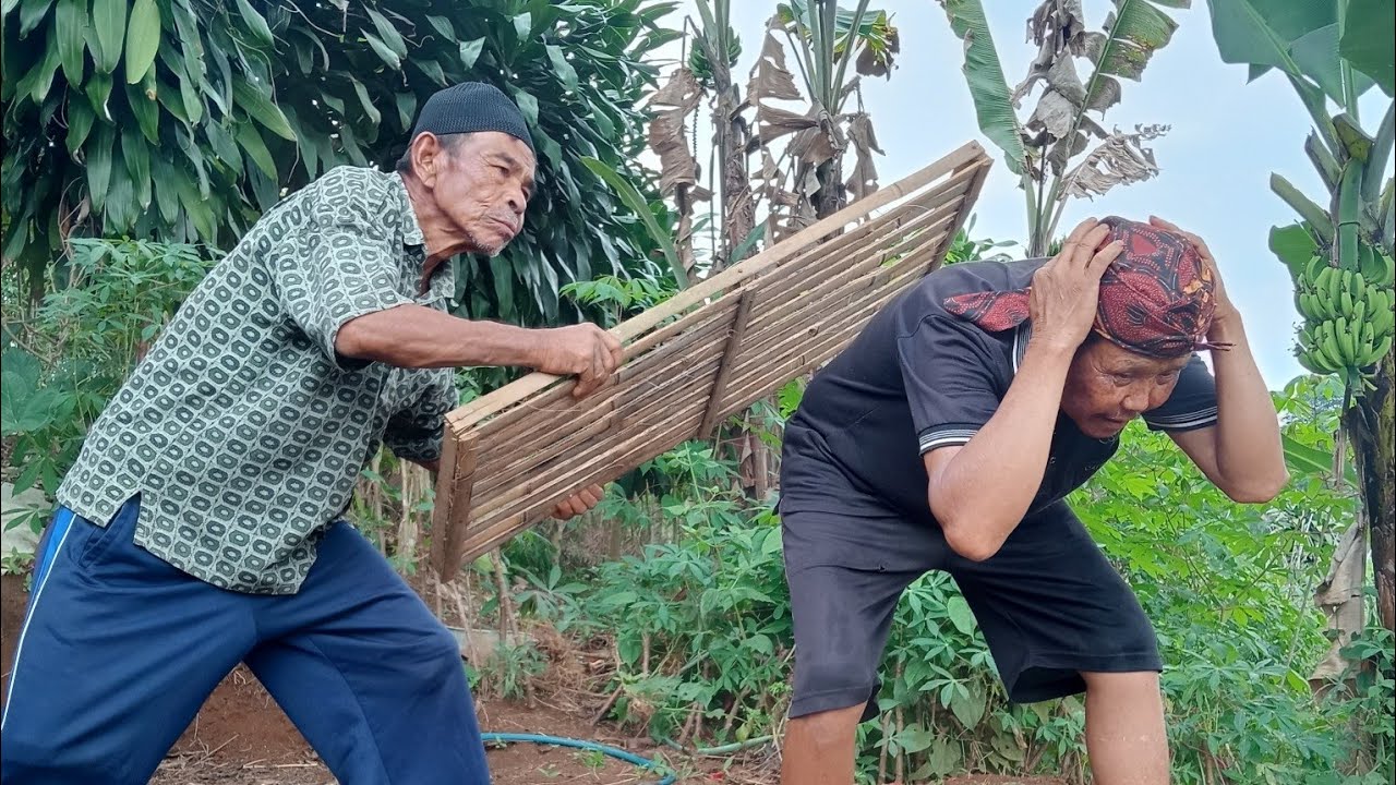 GARA GARA SALAH BIKIN KANDANG VIRAL