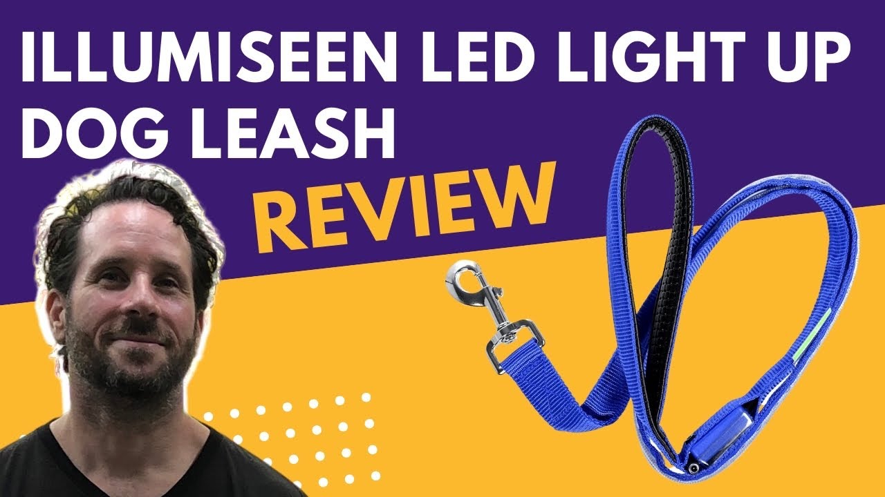 Illumiseen LED Light Up Dog Leash Unboxing and Review
