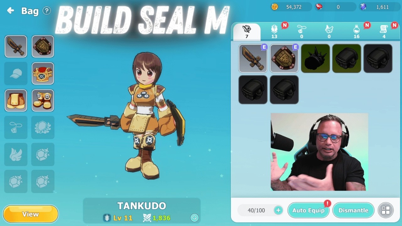 PEGUE O LEVEL 11 EM 10 MINUTOS E APRENDA A BUILDAR SEU PERSONAGEM EM SEAL M MMO RPG NA WEB3