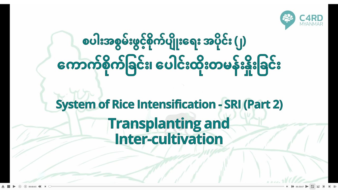'စပါးအစွမ်းဖွင့်စိုက်ပျိုးရေး' အပိုင်း (၂)