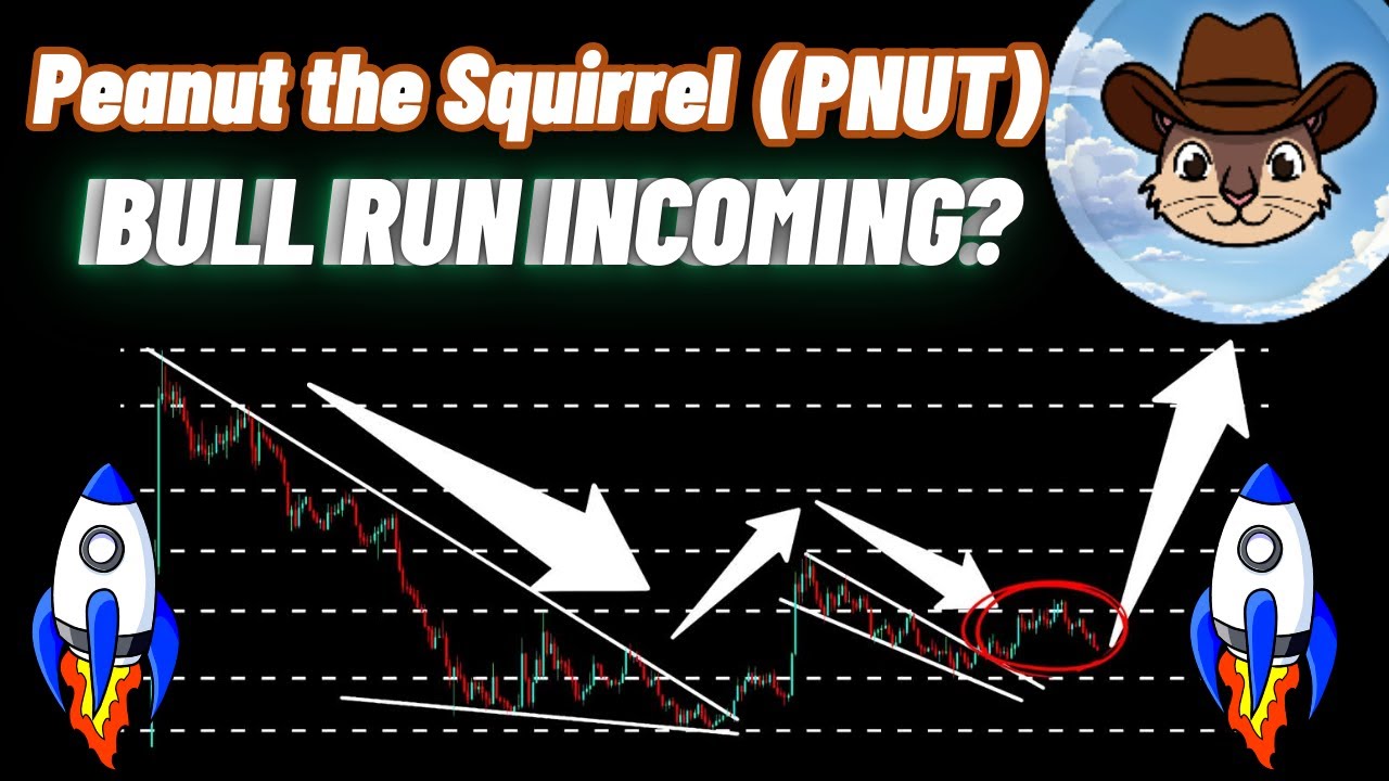 Peanut the Squirrel Coin Bull Run Update! | PNUT Crypto News