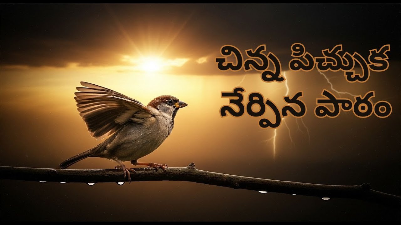 “తుఫానును ఓడించిన చిన్న పిచ్చుక – వదలకూడదు అనే నిజమైన అర్థం 🕊️”