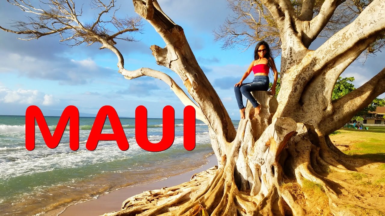 Maui, Hawaii Vacation 4k travel vlog