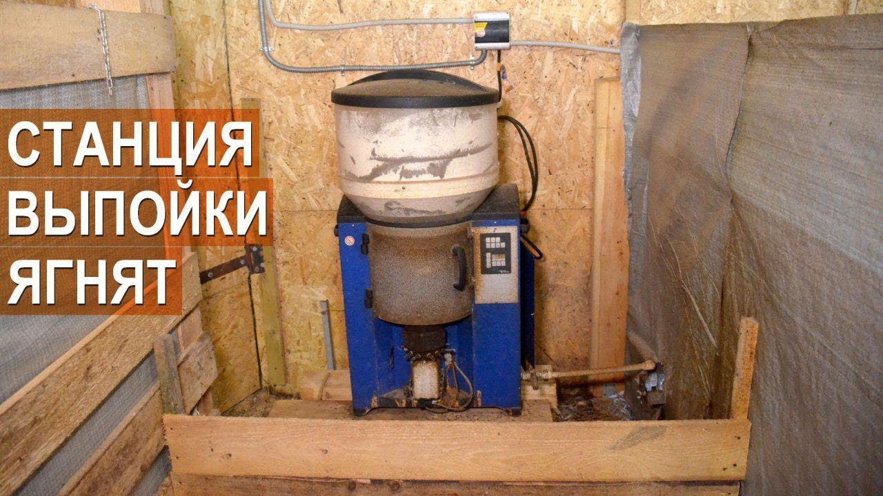Автоматическая станция для выпойки ягнят. Племрепродуктор - Ферма Покров