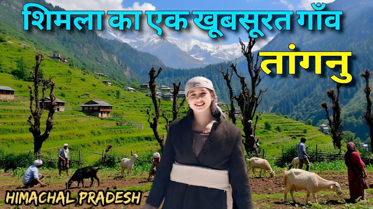 Life In The Remote Himalayan Village Of Shimla | Tangnu Village Tour | Himachal Pradesh , Vlog 