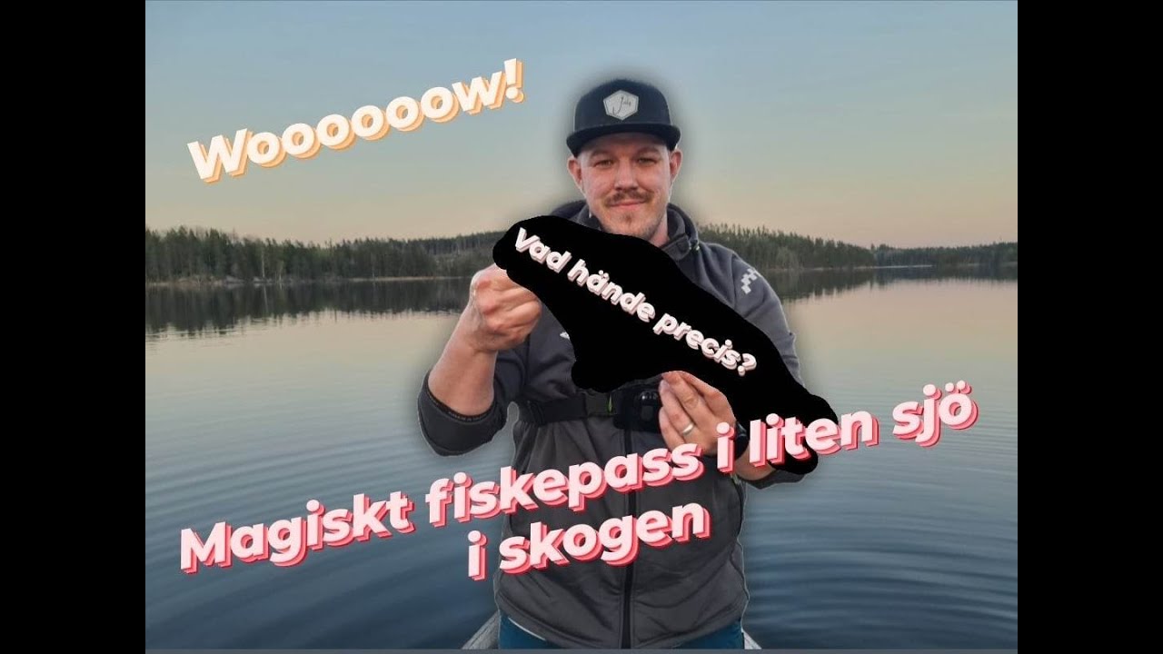 GRISFISKE - Vi utforskar liten sjö mitt i skogen i dalarna