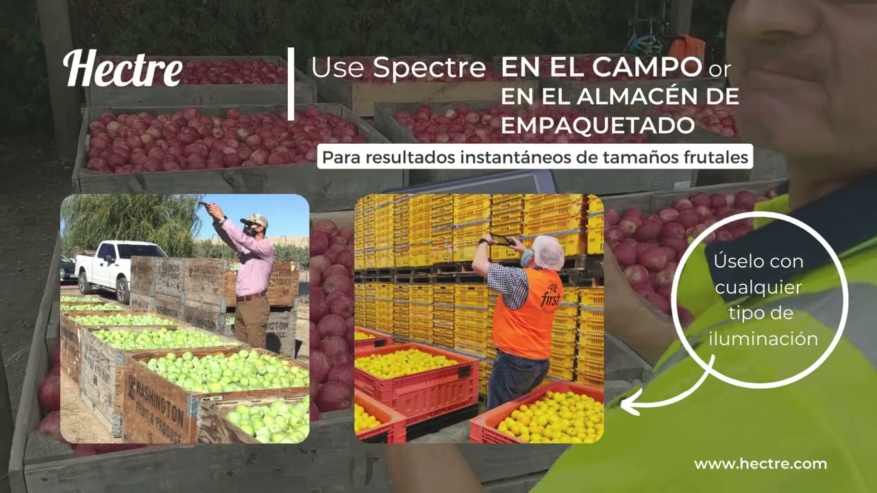 Hectre – App Spectre para cálculo de tamaños frutales pre- y post- cosecha