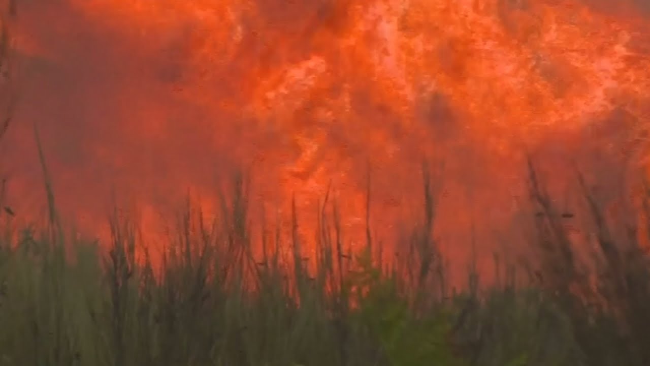 Crews battle forest fires in Portugal