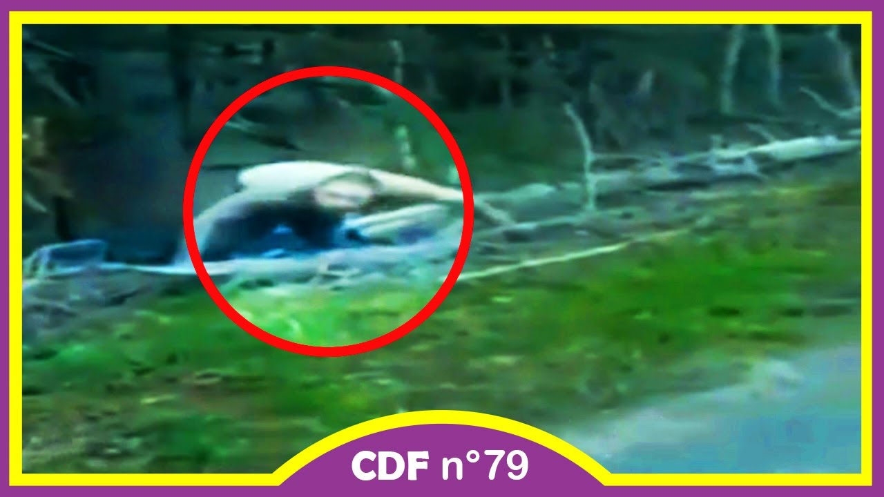 5 choses les PLUS EFFRAYANTES filmées par une CAMÉRA - CDF n°79 (Thread Horreur)
