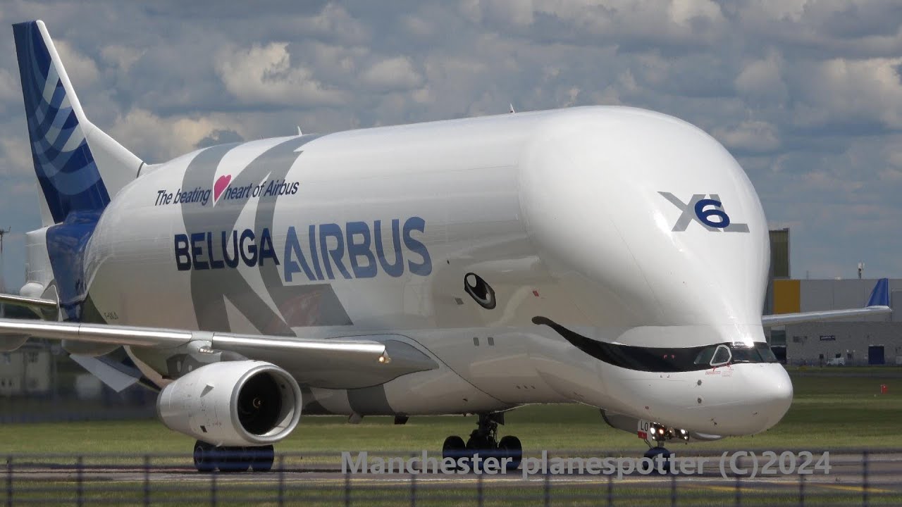 (4K) Beluga XL 6 Airbus A330-743L F-GXLO On BGA114O  Landing And Taxing @Chester Airport On 08/07/24