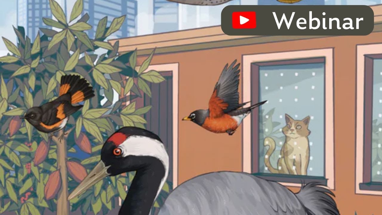 Keep Cats Away: Webinar for World Migratory Bird Day 2025