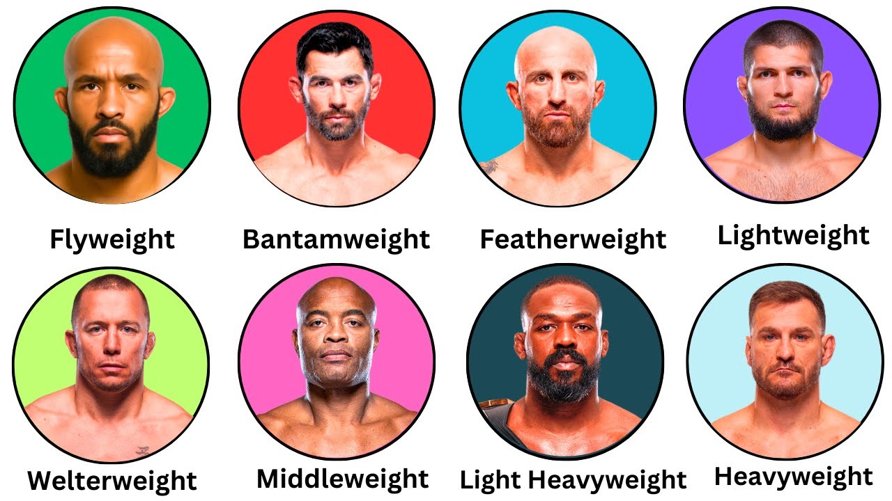 Все величайшие бойцы дивизиона UFC: объяснение за 5 минут